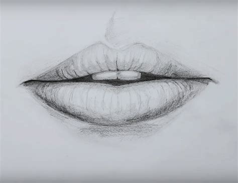 Lips are the initial visual part of the human mouth. How to draw lips Step by Step | #Lips #Drawing in 2020 ...