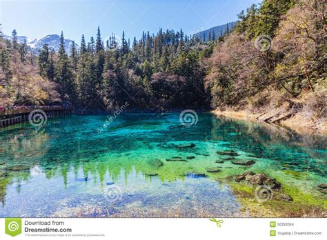 Beautiful Pond In Jiuzhaigou National Park Stock Photo Image Of