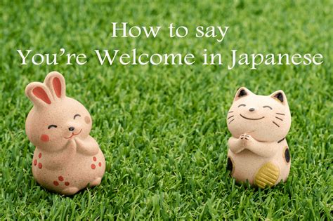 Ways To Say You Re Welcome In Japanese The True Japan Hot Sex Picture