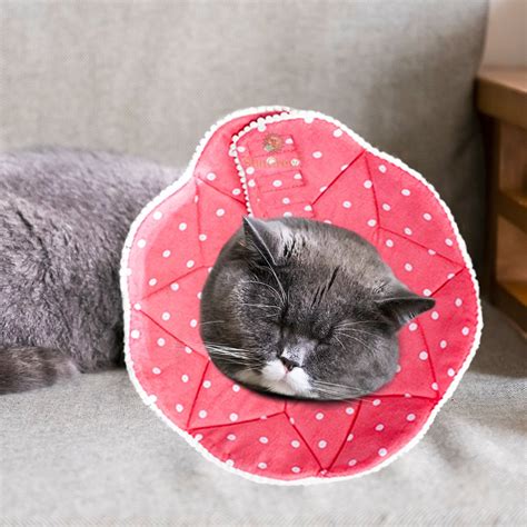 Sungrow Comfy Cone Dog And Cat Recovery Collar Pink Medium