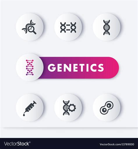 Genetics icons set genetic modification dna Vector Image