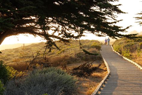 A Romantic Seaside Escape to Quiet Cambria | CABBI