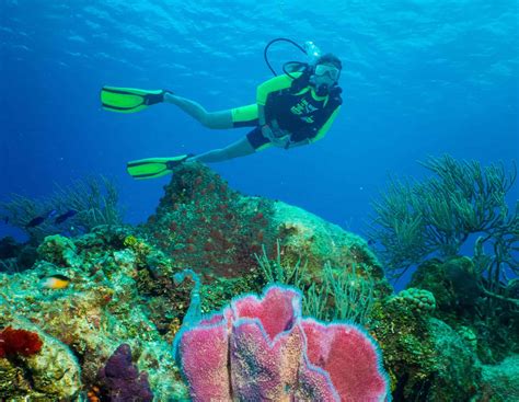 Cozumel Scuba Diving Bahamas Cruise Excursions