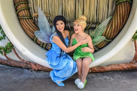 Silvermist And Tinkerbell Disney Dream Face Characters Disney Parks