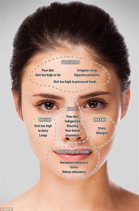 Chinese Face Mapping Chart