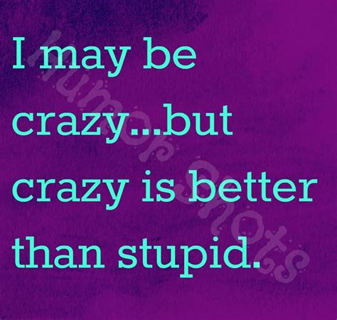 I May Be Crazybut Crazy Is Better Than Stupid Memes Quotes Funny