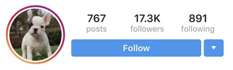 Whats The Difference Between Followers And Following On Instagram