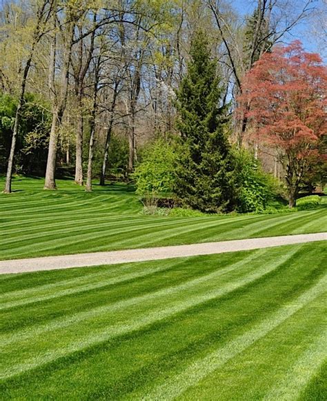 Lawn Care And Mowing Exceptional Lawn Service In Lambertville Nj