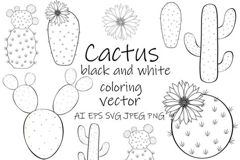 Cactus Vector Cactus Black And White Gráfico Por Shishkovaiv · Creative