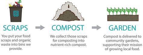 The Ultimate Step By Step Guide For Composting Thereviewsinsider