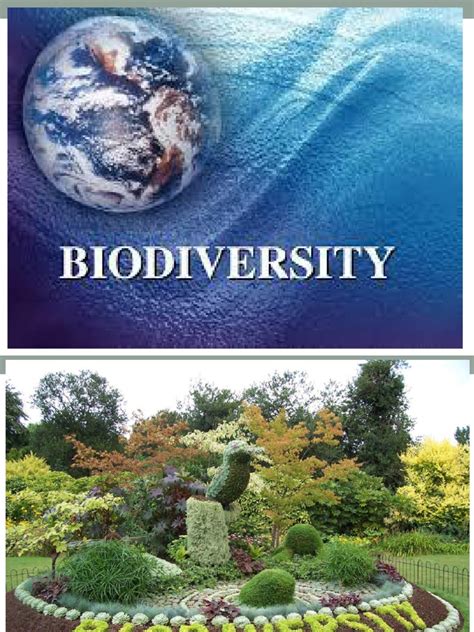Chapter 3 Biodiversity Science Form 2 Pdf