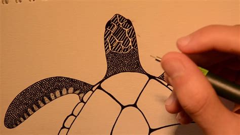 How To Draw A Turtle Zentangle Doodle Youtube