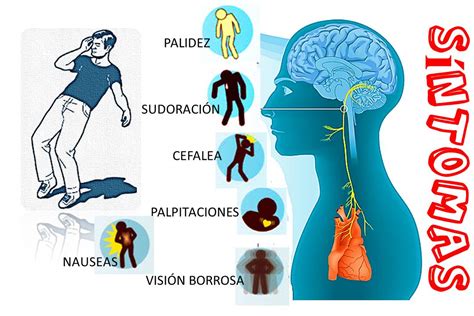 ¿quÉ Es El SÍncope Desmayo Y QuÉ Lo Provoca ¿es Algo Grave Imagen