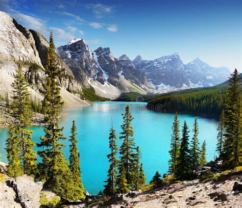 Nationalpark Banffs Kanadier Rocky Mountains Stockfoto Bild Von