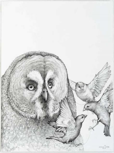 Adonna Khare Together Carbon Pencil Portrait Of An Owl With Birds At