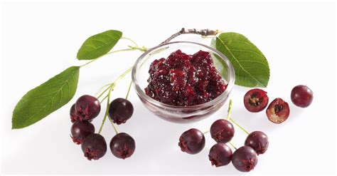 Juneberry Jam Recipe Eat Smarter Usa