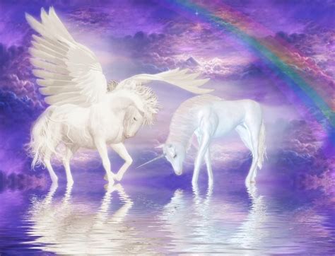 Pegasus And Unicorn Cynthia Selahblue Cynti19 Fan Art 25254444 Fanpop