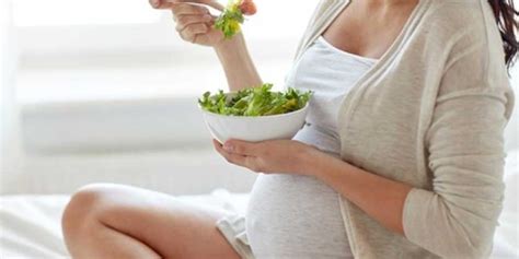 Prima di vedere cosa non si può mangiare in gravidanza, diamo uno sguardo ad alcune linee guida da seguire fornite dal ministero della salute: Cosa mangiare durante la gravidanza? - Centro Medico San Luca