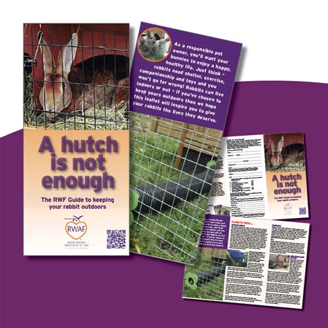 the rabbit welfare guide a hutch is not enough 50 copies rabbit welfare shop