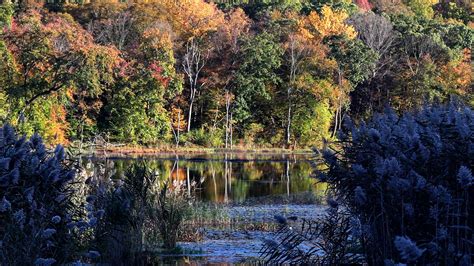 Sterling Forest State Park In Orange County Adds 130 Acres