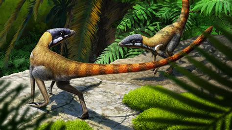 Fossils Reveal Pterosaur Relatives Before They Evolved Wings The New
