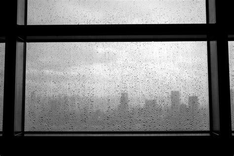 Black And White Rain Drops On A Window Stock Photo Image