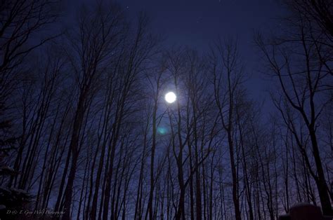 Wallpaper Sunlight Night Reflection Sky Snow Winter Moon