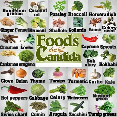 Foods That Kill Candida Candida Diet Recipes Candida Diet Cultured
