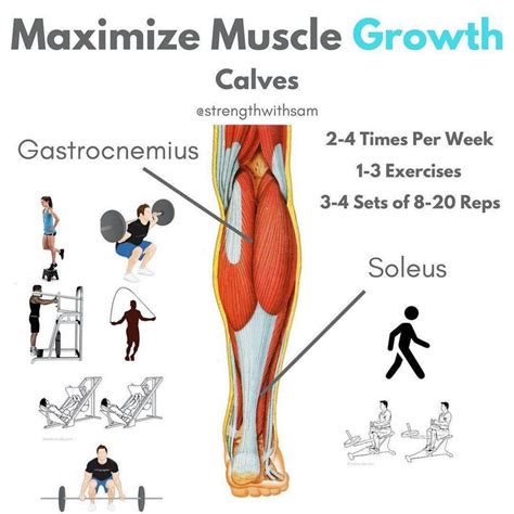 Growing The Calves Can Be Tricky But Utilizing These Techniques Will
