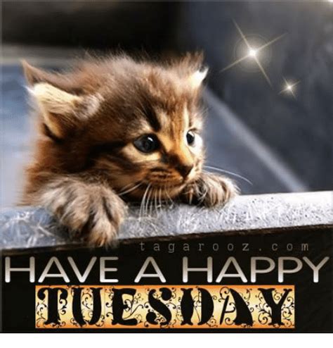 If you are carrying forward your monday blues to tuesday, there are so many inspiring sayings to help you. Happy Tuesday Memes, Images and Tuesday Motivational Quotes - I Love Text Messages
