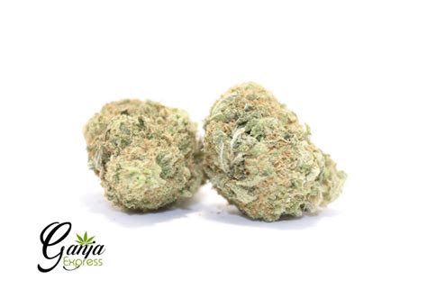 Buy 99 Oz Grapefruit Haze Online Canada Ganja Express