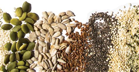 Know The Excellent Health Benefits Of Seed And Why You Should Eat Them