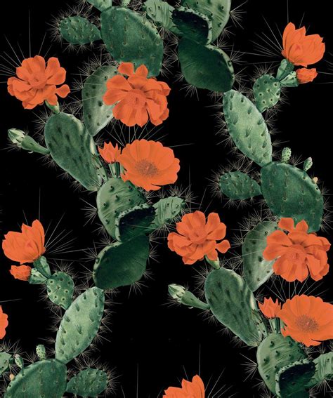 Cactus Wallpaper • Bold Alluring Cacti Design • Milton And King