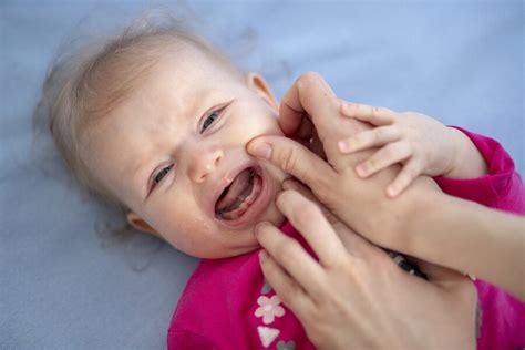How To Know If Baby Has Teething Pain Teethwalls