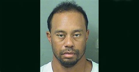 tiger woods apologizes after arrest says alcohol not involved tiger woods arrested tiger