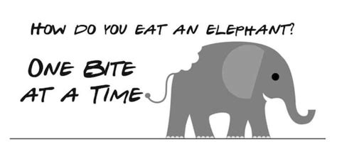 How Do You Eat An Elephant Tom Mccallum