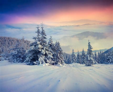 Foggy Winter Morning In Mountains Stock Image Image Of Cold Color