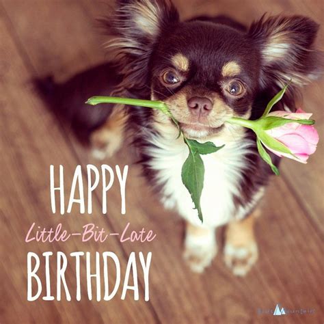 Find images of happy birthday card. Belated Birthday Images Funny Beautiful Funny Belated Birthday Card Sayings Best Best 25 Belated ...