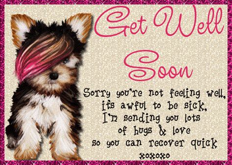 puppy get well card free get well soon ecards