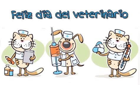 Feliz día del veterinario, perro y gato | Dia del veterinario, Dia del