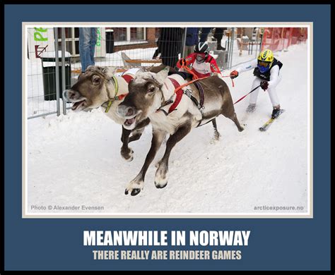 pin on norway ~ norsk humor