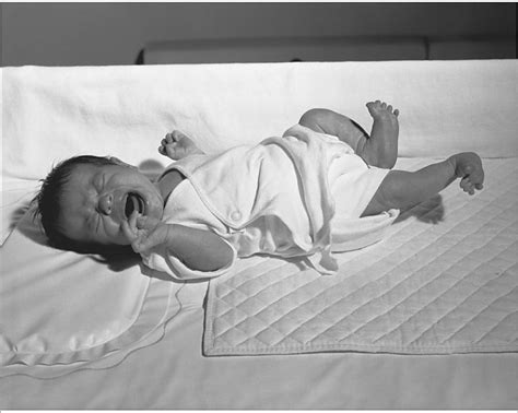 Photograph Newborn 0 3 Months Lying In Crib Crying Bandw 10x8