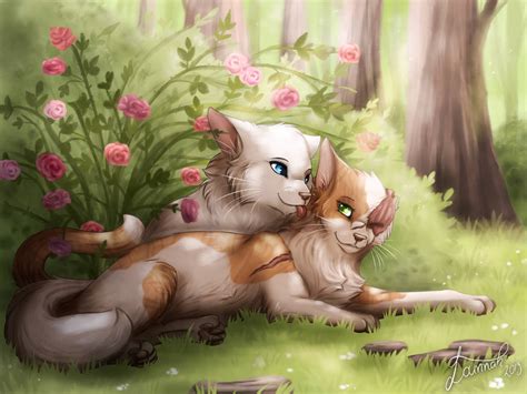 Brightheart And Cloudtail By Lounnah On Deviantart