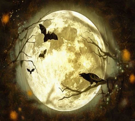 Owl Halloween Holiday Moon Happy Halloveen Castle Spooky