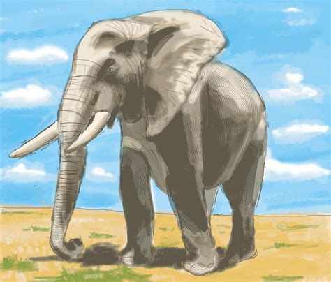 Rorsah Elephant