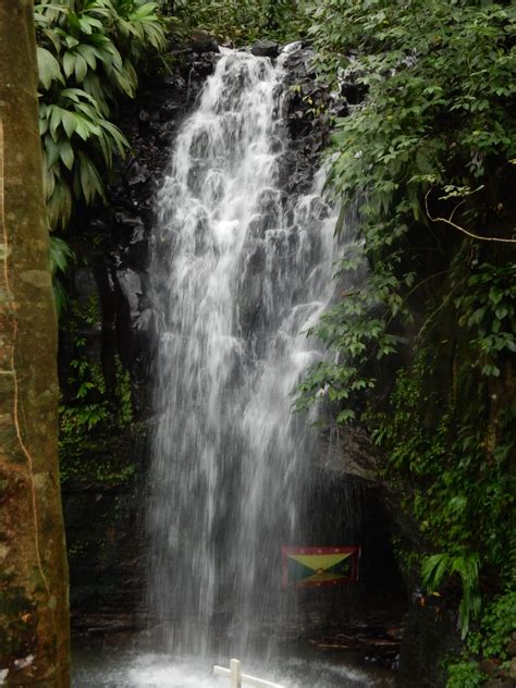 Bamboo Waterfall Photo