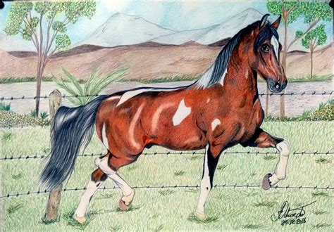 Cavalo Desenho Colorido Desenhos Realistas Desenhos De Animais Realistas Desenho Realista