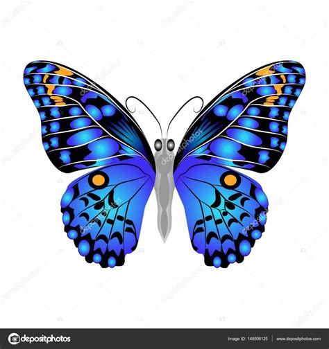 Free Free 216 Blue Butterfly Svg Free SVG PNG EPS DXF File