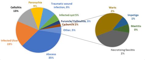 Cureus Community Acquired Skin And Soft Tissue Infections