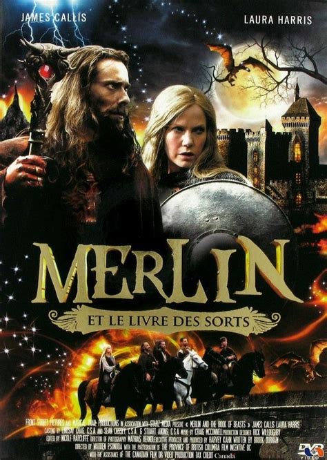 Merlin Et Le Livre Des Créatures Film 2010 Senscritique